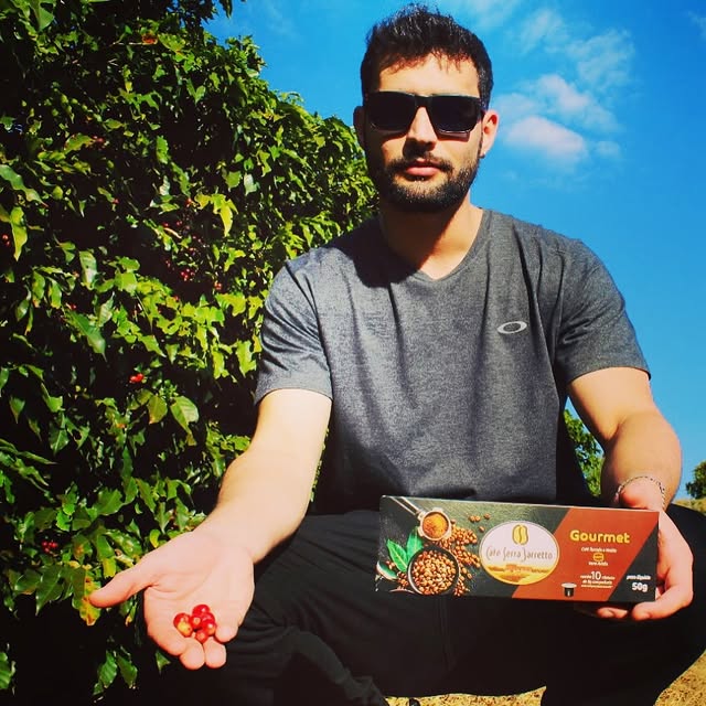Produtor no cafezal mostrando frutos de café maduros
